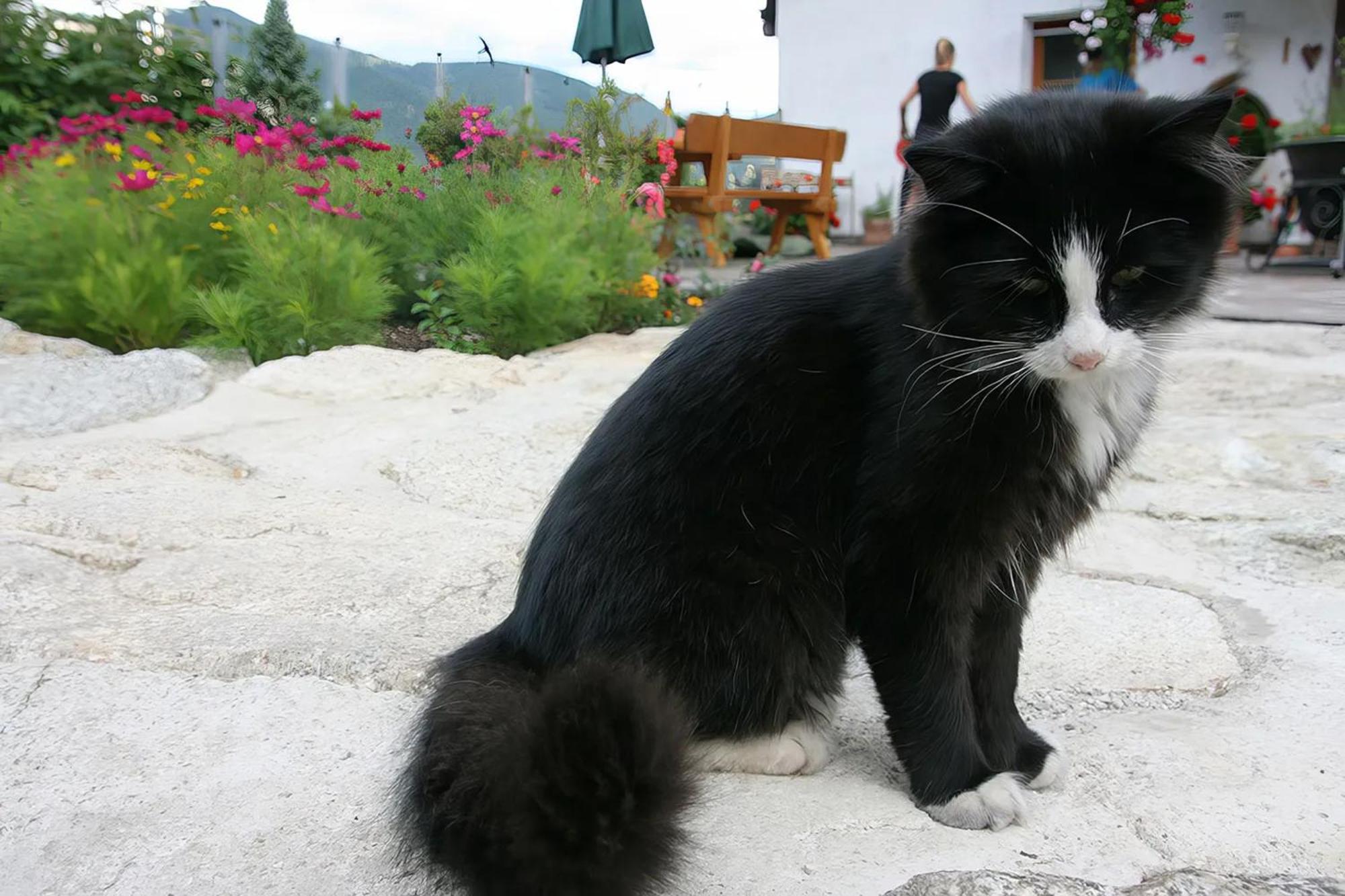 Binterhof Villa Planca di Sopra Kültér fotó